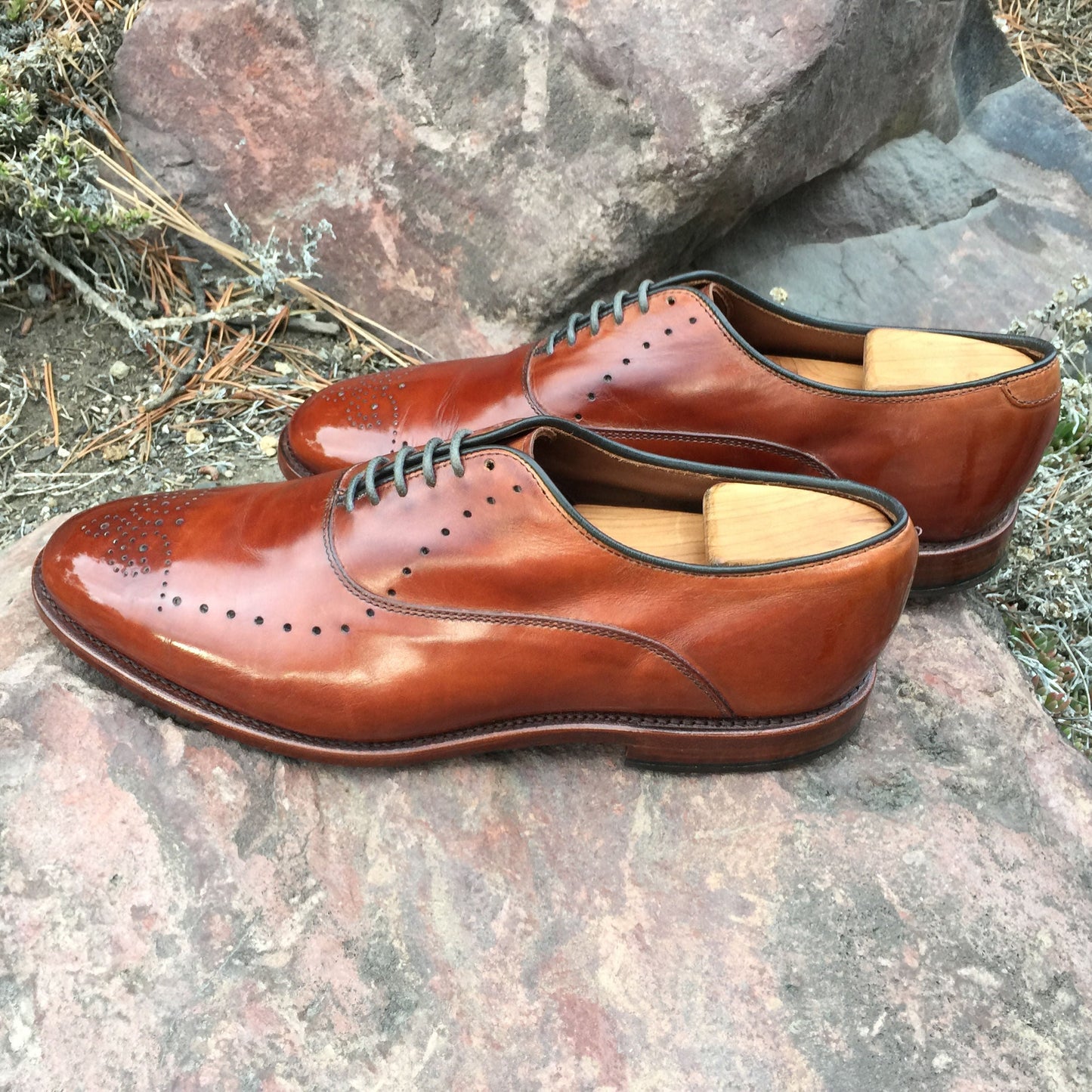 Walnut Leather Cream Polish